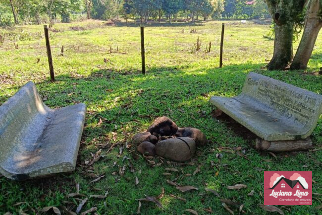 Chácara para Venda em Artur Nogueira SP – 00091 - Foto 6 / 30